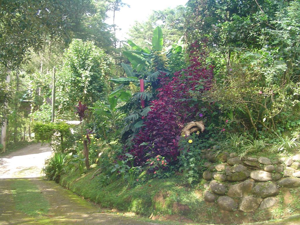 Casa Dell Angelo Apartamentos 비스콘지 지 마우아 외부 사진